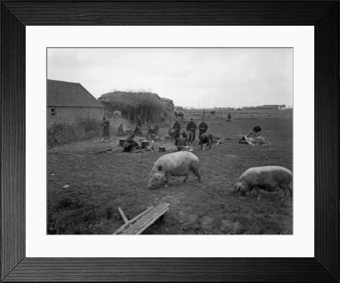 Framed Print : Belgian Field Kitchen in a farmyard. The pigs rooted quite happily