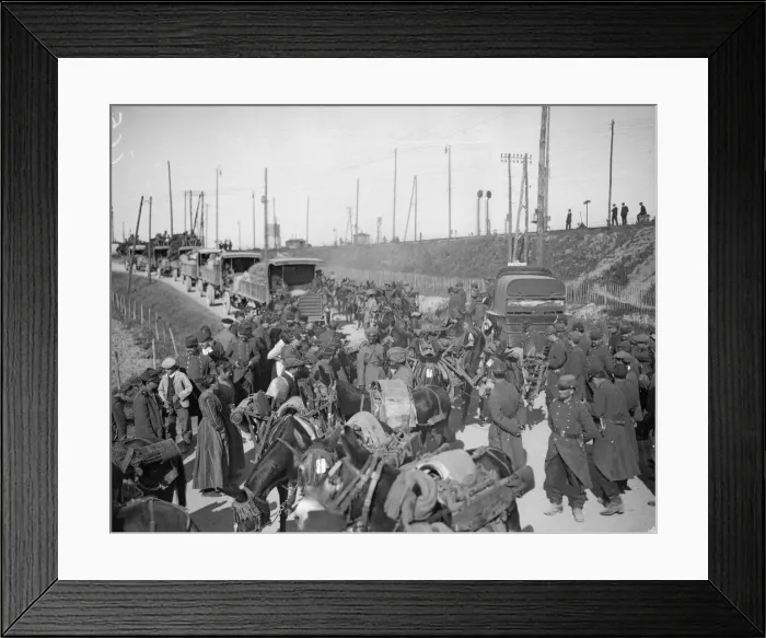 Framed Print : Supply train of the 3rd Lahore Division seen here passing French troops after leaving Framed Print : Supply train of the 3rd Lahore Division seen here passing French troops after leaving