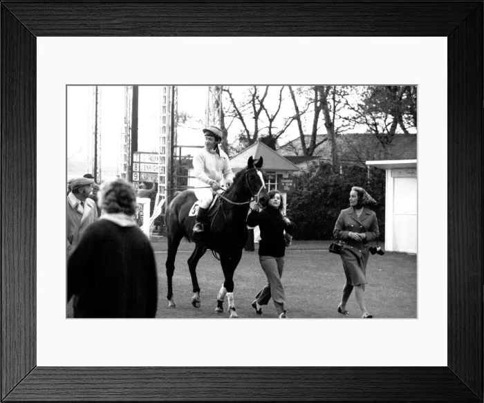 Framed Print : An evening race meeting at Gosforth Park Racecourse, Newcastle Framed Print : An evening race meeting at Gosforth Park Racecourse, Newcastle