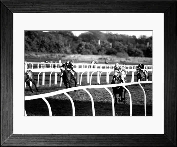 Framed Print : Jockey Geoff Harker rode Green Archer in the Comedy Of Errors Novice s