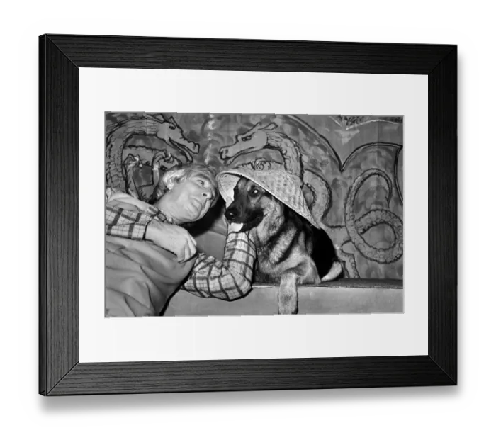 Framed Print : Animals. Dogs. Humour: Panto Pooch. Crosby': Crosby