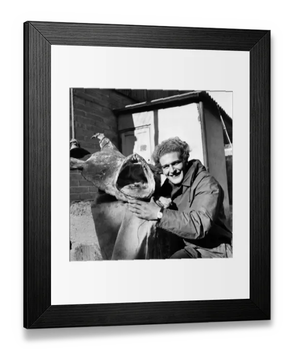 Framed Print : Sport: Fishing: Turkey farmer Tim Clark (22) pictured with the 58lb 50z Angler fish that