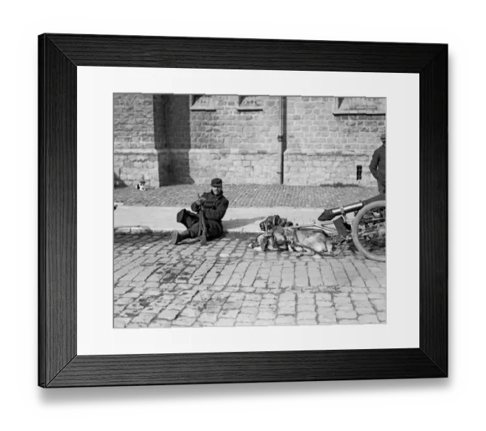 Framed Print : The Belgian armys retreat to Antwerp, Men and gun dogs, who are tired out