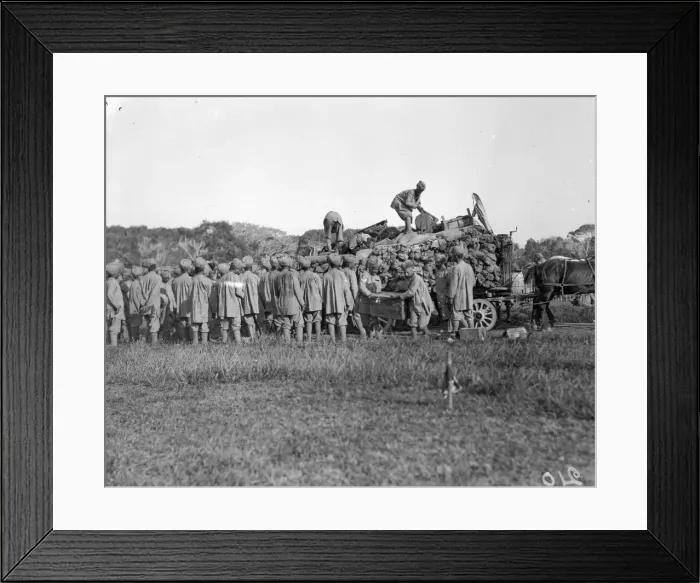 Framed Print : Soldiers of the 3rd (Lahore) Indian Division seen here unloading transport wagons Framed Print : Soldiers of the 3rd (Lahore) Indian Division seen here unloading transport wagons
