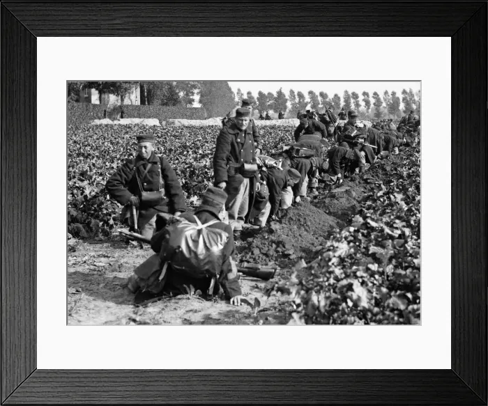 Framed Print : Belgian soldiers seen here digging trenches before the town of Audeghem