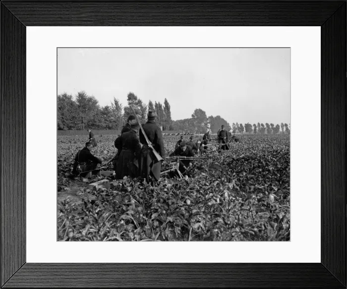 Framed Print : Belgian soldiers seen here digging in and setting up machine guns before the Battle of Framed Print : Belgian soldiers seen here digging in and setting up machine guns before the Battle of