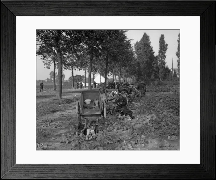Framed Print : Belgian army dog teams rest by the roadside as soldiers in the backgroundd build a Framed Print : Belgian army dog teams rest by the roadside as soldiers in the backgroundd build a