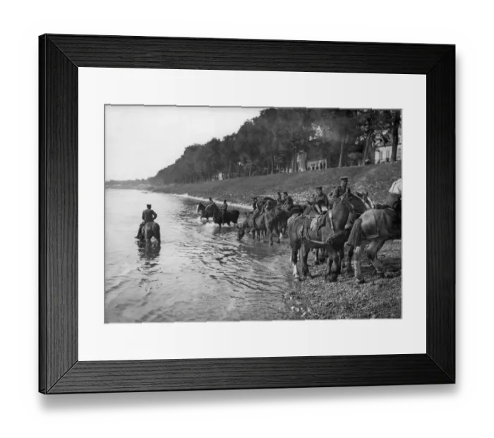 Framed Print : Heavy horses of the Royal Horse Artilley are seen here being watered in Northern France