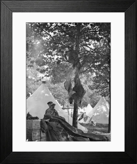 Framed Print : British Army cooks seen here hanging a couple of beef carcases from a tree