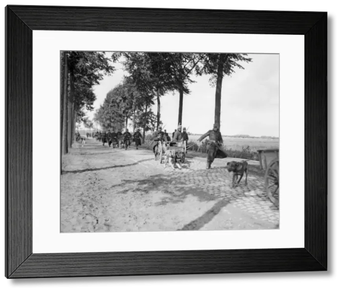 Framed Print : The Battle of Hofstade. Belgian guns drawn by dogs going into action at Hofstade, Belgium Framed Print : The Battle of Hofstade. Belgian guns drawn by dogs going into action at Hofstade, Belgium