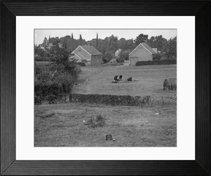 Framed Print : Battle of Hofstade. There were no military honours for this Belgian hero Framed Print : Battle of Hofstade. There were no military honours for this Belgian hero