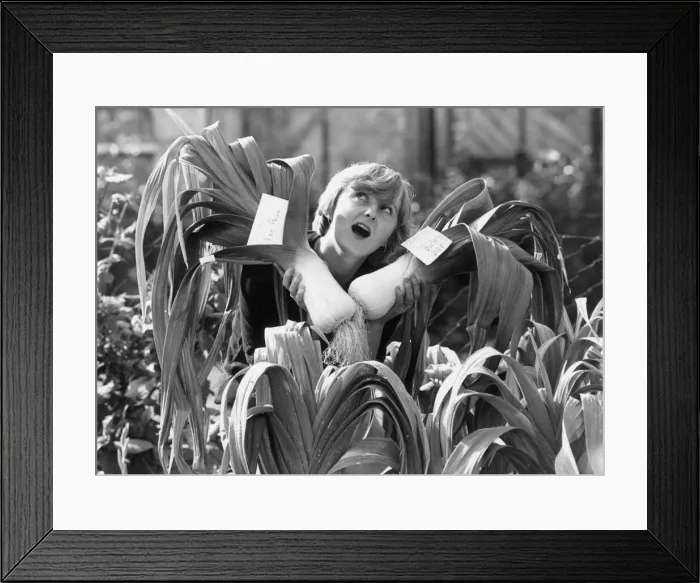 Framed Print : Mary Riley, a member of the Ladies Leek Club at Knottingley, Yorkshire