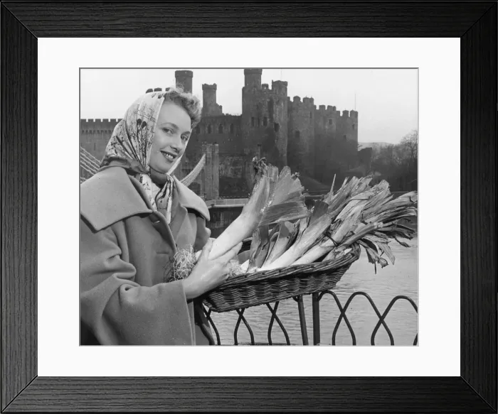 Framed Print : Mrs Margaret Kenyon holding a basket of leeks as she stands in front of Conwy Castle in