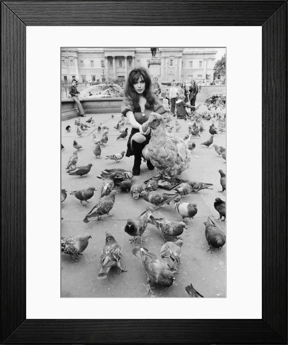 Framed Print : Actress and former model Madeline Smith was forcibly moved on by the law in company with Framed Print : Actress and former model Madeline Smith was forcibly moved on by the law in company with