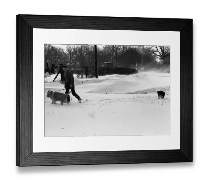 Framed Print : Snow on Styvechale Common, Coventry. 3rd January 1963