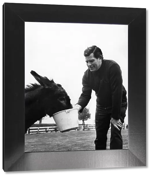 British wrestler Count Bartelli feeding his horse April 1971 P005666