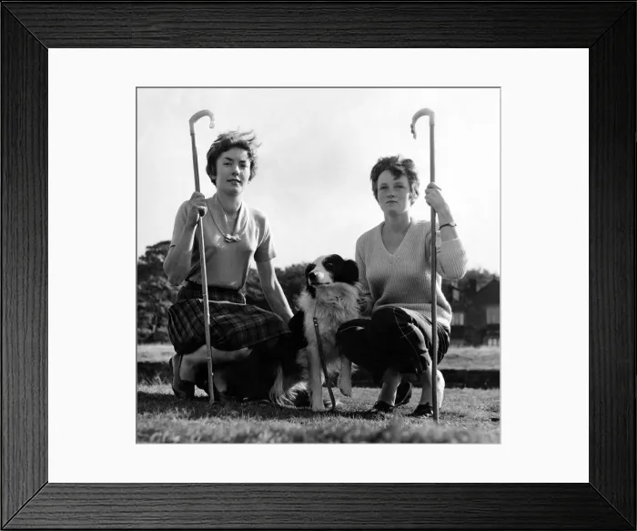 Framed Print : Of the 76 shepherds competing in the first day of the three day trials Framed Print : Of the 76 shepherds competing in the first day of the three day trials
