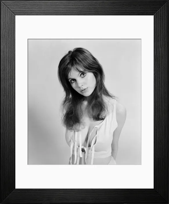 Framed Print : Model and horror film actress Madeline Smith poses in the studio. 25th March 1971 Framed Print : Model and horror film actress Madeline Smith poses in the studio. 25th March 1971