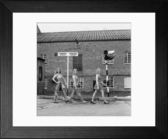 Framed Print : Three of the actresses in the Hammer horror production The Vampire Lovers Framed Print : Three of the actresses in the Hammer horror production The Vampire Lovers