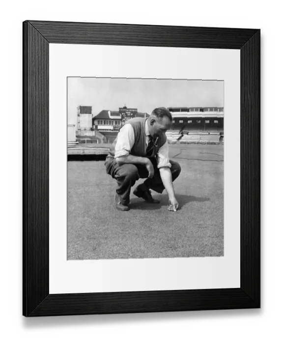 Framed Print : Old Trafford groundsman, Bert Flack, feels the test wicket after rolling it in