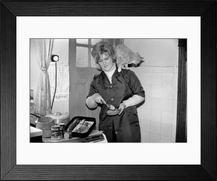 Framed Print : Mrs. Marlene Harris seen here preparing lunch for, cats Suki Framed Print : Mrs. Marlene Harris seen here preparing lunch for, cats Suki