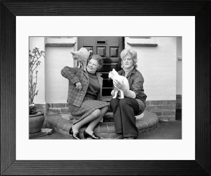 Framed Print : Mrs. Millicent Grover, proprieters of the hotel for cats with TV star cat Tina on her