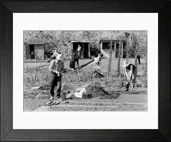 Framed Print : Residents of Luxembourg City seen here tending their allotments. Luxembourg