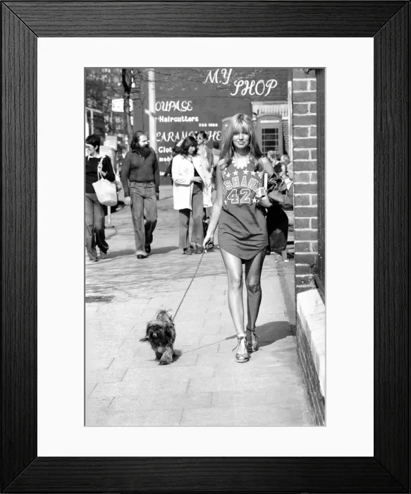 Framed Print : Woman taking her dog for a walk on Kings Road in Chelsea Framed Print : Woman taking her dog for a walk on Kings Road in Chelsea