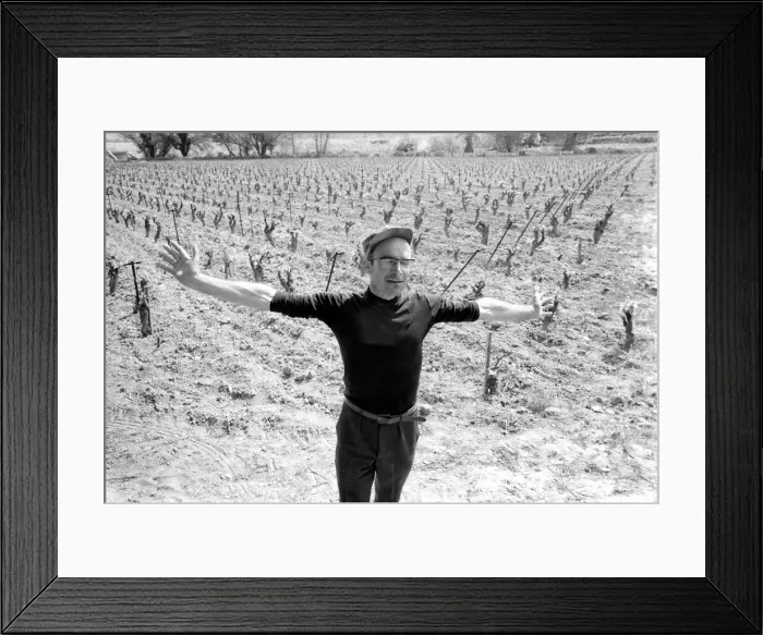Framed Print : Jean Theron aged 47, at work in his wine fields just outside his home village of Poussan