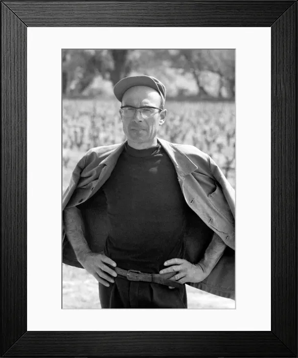 Framed Print : Jean Theron aged 47, at work in his wine fields just outside his home village of Poussan
