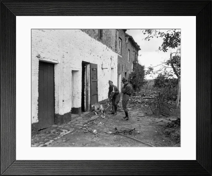 Framed Print : Belgian Boy Scout seen here rescuing animals from abandoned Framed Print : Belgian Boy Scout seen here rescuing animals from abandoned