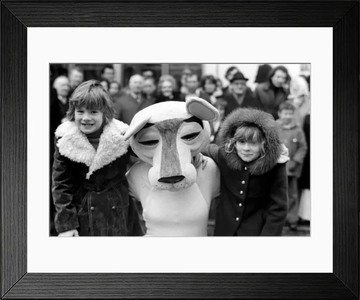 Framed Print : The Pinks and The Panthers. To celebrate the Return Framed Print : The Pinks and The Panthers. To celebrate the Return