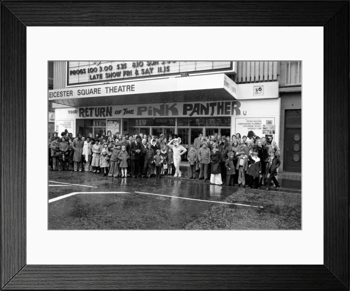 Framed Print : The Pinks and The Panthers. To celebrate the Return Framed Print : The Pinks and The Panthers. To celebrate the Return
