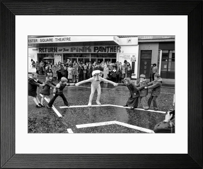 Framed Print : The Pinks and The Panthers. To celebrate the Return Framed Print : The Pinks and The Panthers. To celebrate the Return
