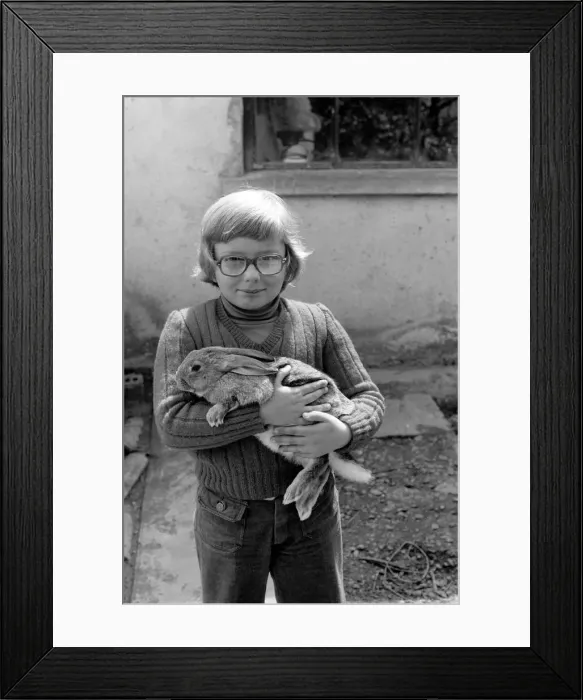 Framed Print : French schoolboy Jean Luc aged 8 with one of the families rabbits that will be due for