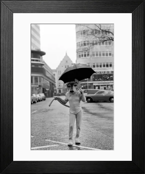 Framed Print : The Pinks and The Panthers. To celebrate the Return Framed Print : The Pinks and The Panthers. To celebrate the Return