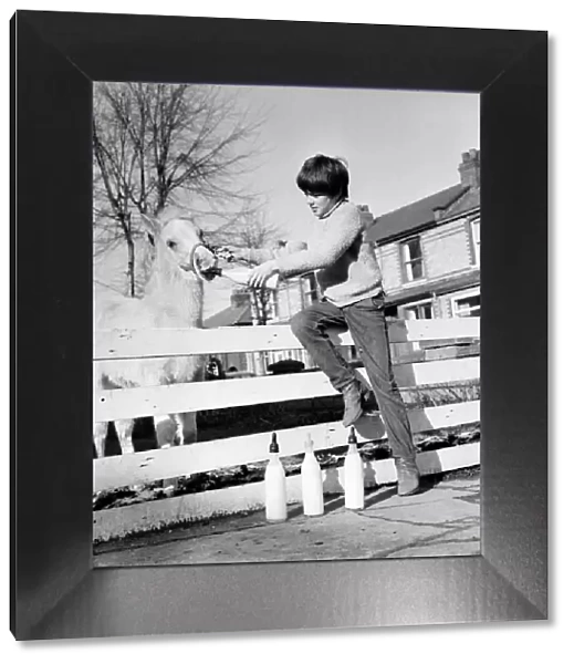 Animal: Horse: Feeding: Palomino horse saved by boy. February 1970 70-1622