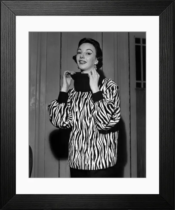 Framed Print : This Zebra striped Giraffe neck sweater and black trousers to be worn with these Framed Print : This Zebra striped Giraffe neck sweater and black trousers to be worn with these