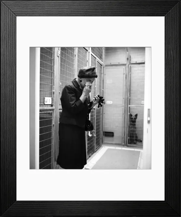 Framed Print : Battersea dogs home opens new wing. An old lady visitor burst out in tears and said Framed Print : Battersea dogs home opens new wing. An old lady visitor burst out in tears and said