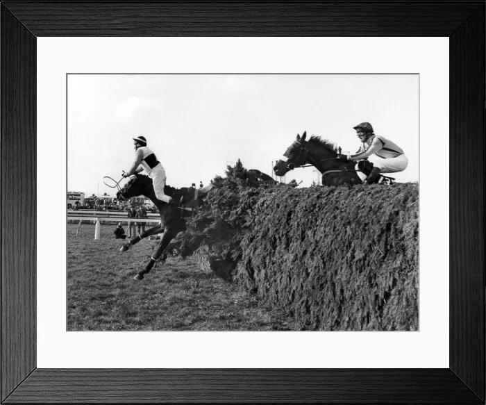 Framed Print : C. Kemball first over and unsaddled at the Chair on Freddie Bee in the 1984 Grand Framed Print : C. Kemball first over and unsaddled at the Chair on Freddie Bee in the 1984 Grand