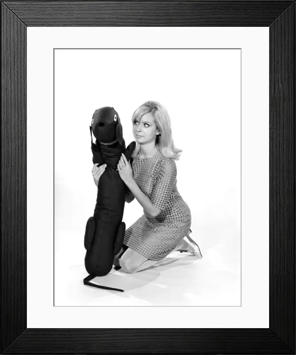 Framed Print : Model Anna Maria Greaves with Roly dog soft toy and draft excluder. 1959 D169-005 Framed Print : Model Anna Maria Greaves with Roly dog soft toy and draft excluder. 1959 D169-005