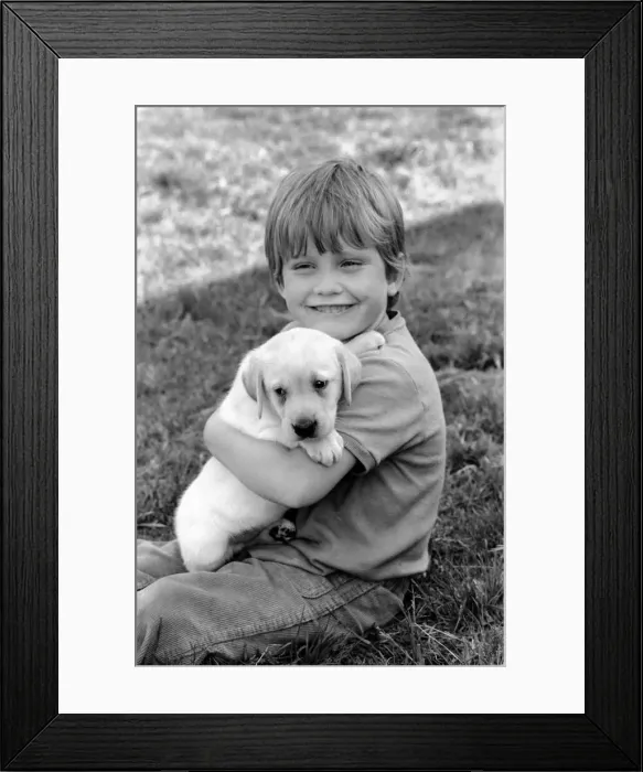 Framed Print : A young boy with a labrador puppy at the Frant Kennels in Hildenborough near Tonbridge Framed Print : A young boy with a labrador puppy at the Frant Kennels in Hildenborough near Tonbridge