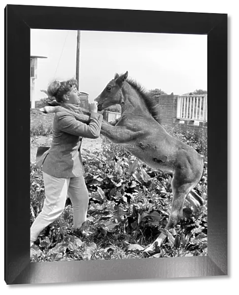 Pam Barrows seen here with foal called Miracle. June 1961 C65-005