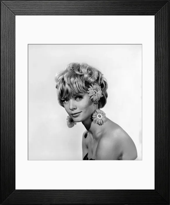 Framed Print : hristmas Earrings: Uschi Bernell modelling Christmas design earrings. 1965 D178-002