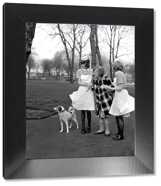 Woman and Dog. Miss Emily Hoban 79. February 1975 75-00750-001