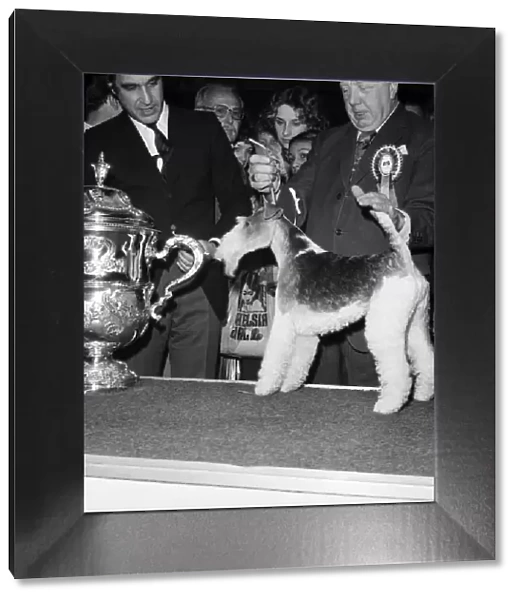 Crufts. Dog winner. February 1975 75-00769-009