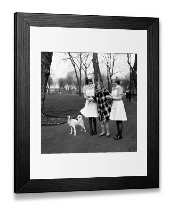 Framed Print : Woman and Dog. Miss Emily Hoban 79. February 1975 75-00750-002 Framed Print : Woman and Dog. Miss Emily Hoban 79. February 1975 75-00750-002