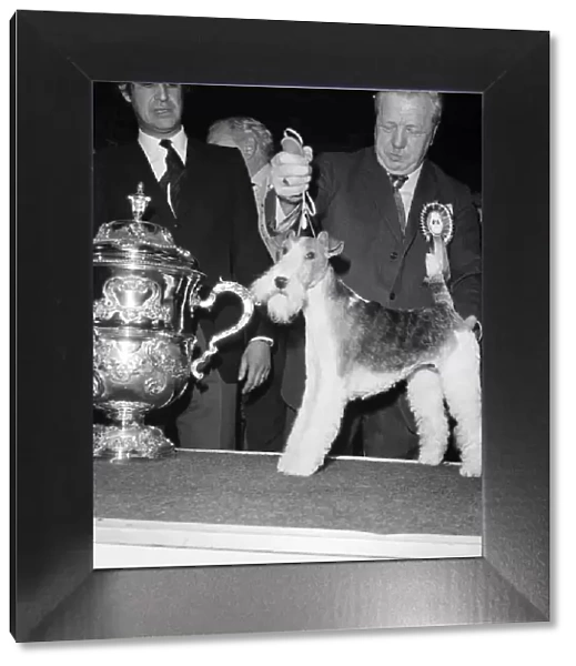 Crufts. Dog winner. February 1975 75-00769-008