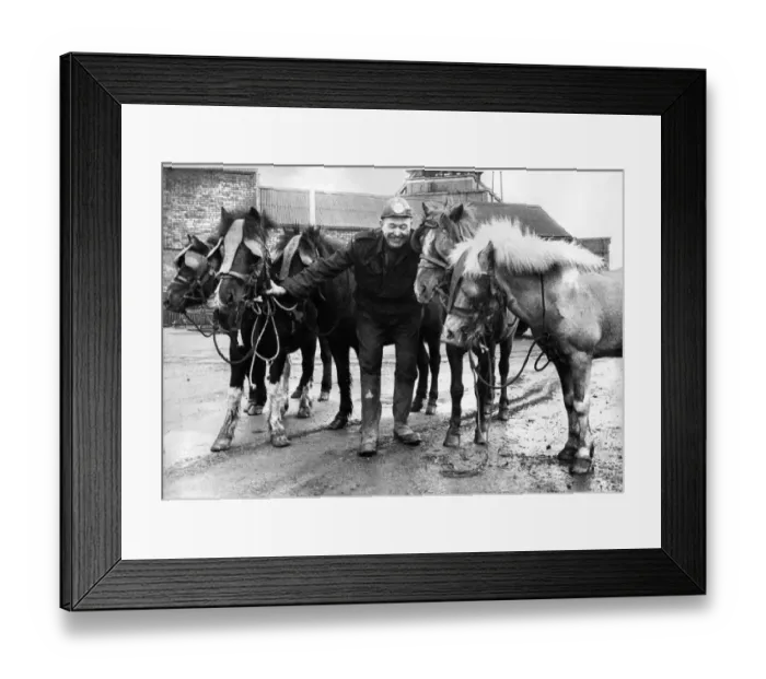 Framed Print : At the ripe old age of 15, Cappy, Clive, Chance, Battle
