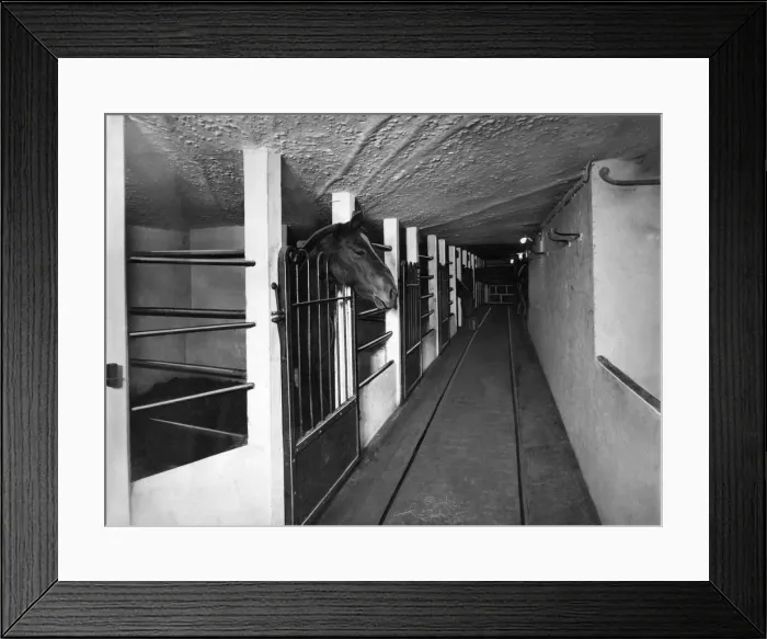 Framed Print : Some of the new loose horse-boxes at the Bomarsund Pit of the Bedlington Coal Company